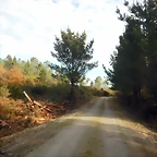 DSCN9394