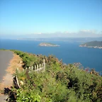 DSCN6794