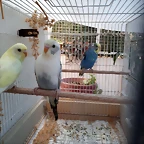 20191230_140939
