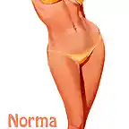 norma ultra microkini