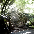 DSCN7877