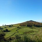 DSCN2086
