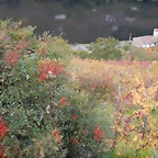 DSCN9848