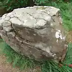 Piedras Blandas