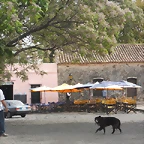 DSCN0072