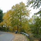 DSCN5835