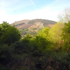 DSCN2090