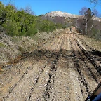 DSCN7962