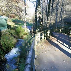 DSCN6646