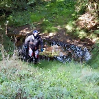 DSCN6884