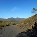 DSCN9063
