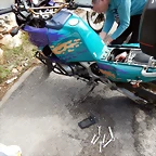 DSCN6494