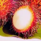 rambutan