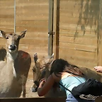 Zoo de Barcelona 30-04-11 i 01-05-11 098
