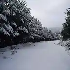 Camino en Velilla (Muelas). Foto JM Pia