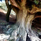 DSCN1543