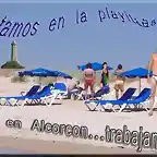 tamao grande playita