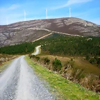 60-IMG_5303