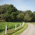 DSCN9724