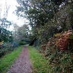 DSCN3761