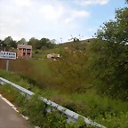 DSCN9881