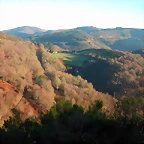 DSCN5452
