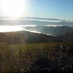 DSCN5454