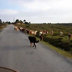reglaje 042