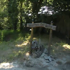 DSCN6536