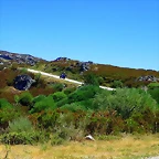 IMG_7727