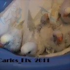 todos  13-9-2011