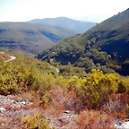 DSCN7758
