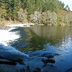 DSCN6379