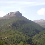 IMGP5585
