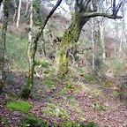 DSCN9274