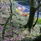 DSCN9277