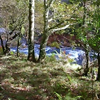 DSCN9275