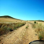 DSCN6738