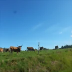 DSCN4671