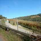 DSCN4666