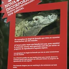 Zoo de Barcelona 22-07-2010 184