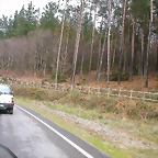 DSCN8441