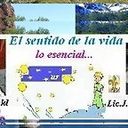 011 final miarroba