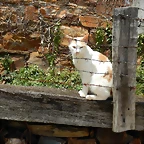 DSCN1142