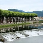 IMG_6661