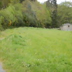 DSCN9329