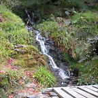 DSCN0683