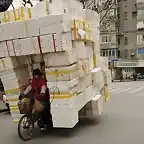 shanghai bike