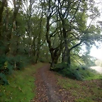 DSCN3752