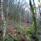 DSCN2084